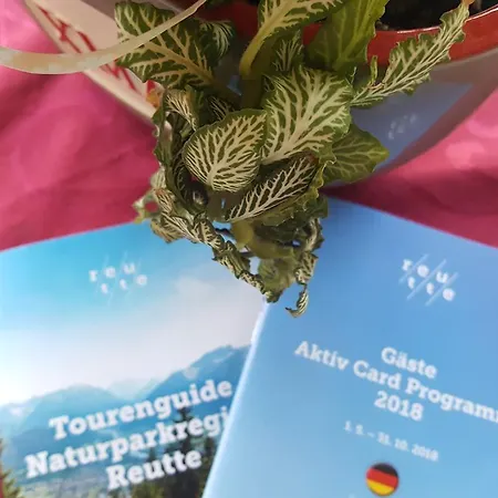Haus Priller Pensjonat